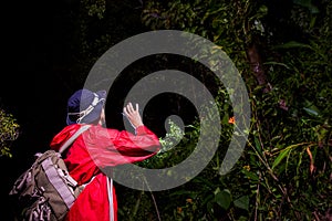 Traveller search and explore through tropical rain forest - Fieldwork photo