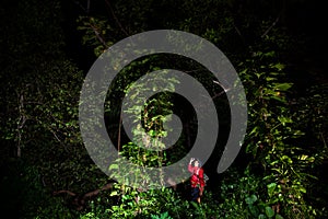 Traveller search and explore through tropical rain forest - Fieldwork