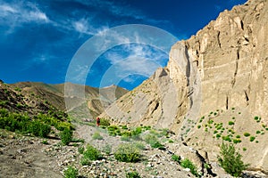 Traveller on the trekking on Markha valley trek route in Ladakh, Karakorum panorama. This region is a purpose of motorcycle