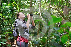 Traveller watching through binoculars wild birds in the jungle.