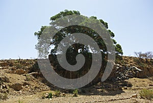 Travelling around the vilages near Asmara and Massawa.