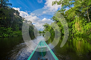 Viaggio secondo una barca profondità da amazzonia la giungla 