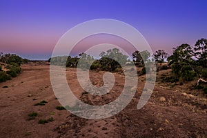 Travelling through a dry river bed landscape covered in acacia trees at sunset, Kruger National Park,