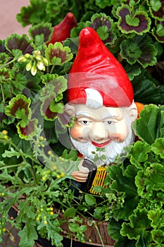 Travelling gnome / garden doll