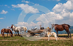 Travelling Gypsy camp with horse and wagon