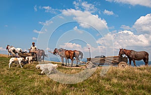 Travelling Gypsy camp with horse and wagon