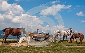 Travelling Gypsy camp with horse and wagon