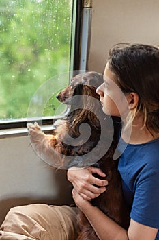 Travelling with pet. A young woman with a dog travels in a railway carriage,