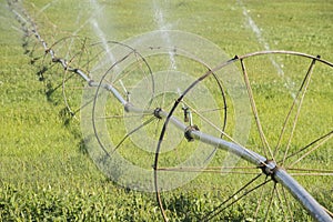 Travelling sprinkler system, irrigating crop