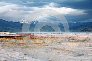 Traver-tine terrace in Yellowstone national park photo