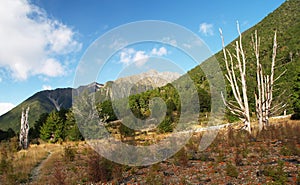 Travers river valley