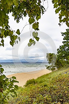 Traverse Bay Lake Michigan shoreline with sandy beach and water is framed with leaf vines & green vegetation. Some text space.