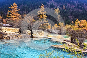 Travertine ponds in autumn forest