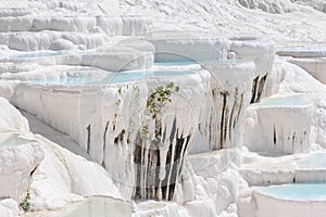 Travertine pools and terraces in Pamukkale, Turkey