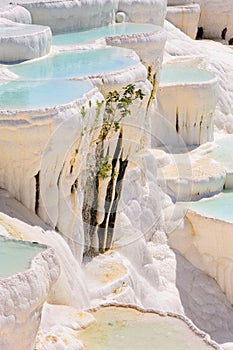 Travertine pools and terraces in Pamukkale, Turkey