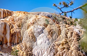 Travertine Terraces, Mammoth Hot Springs, Yellowstone