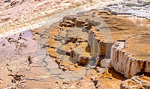 Travertine Terraces, Mammoth Hot Springs, Yellowstone