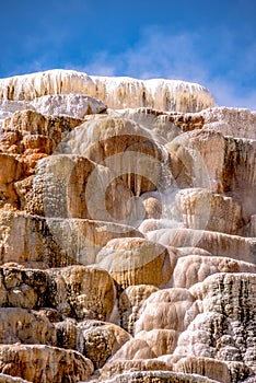 Travertine Terraces, Mammoth Hot Springs, Yellowstone