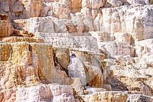 Travertine Terraces, Mammoth Hot Springs, Yellowstone