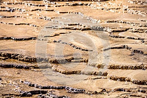 Travertine Terraces, Mammoth Hot Springs, Yellowstone