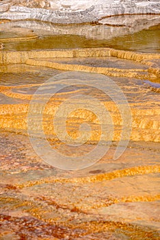 Travertine Terraces, Mammoth Hot Springs, Yellowstone