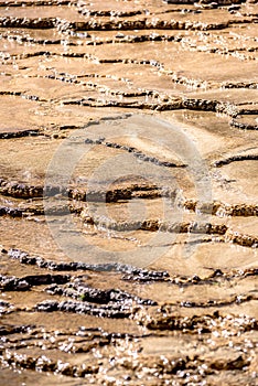 Travertine Terraces, Mammoth Hot Springs, Yellowstone