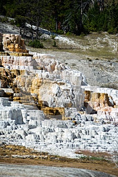 Travertine Terraces, Mammoth Hot Springs, Yellowstone