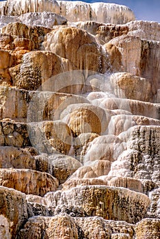 Travertine Terraces, Mammoth Hot Springs, Yellowstone