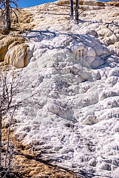 Travertine Terraces, Mammoth Hot Springs, Yellowstone