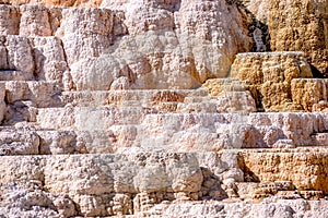 Travertine Terraces, Mammoth Hot Springs, Yellowstone