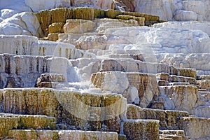 Travertine terraces, Mammoth hot springs, Yellowstone National Park, Wyoming