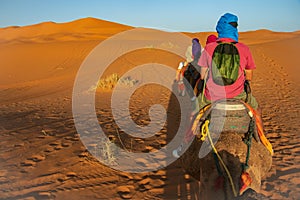 Travesia en camello por el desierto del Sahara. Erg Chebbi. Merzouga. Marruecos photo