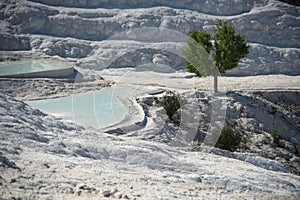 Pamukkale Thermal pools in southern Turkey photo