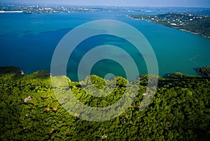 Travis Lake Paradise View Drone Aerial Angle over the Green Texas Hill Country Beauty photo