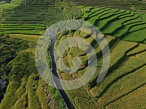 Agricultural land with terracing systems in the village of Trawas photo