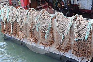 Trawlers or fishing vessels with nets for escallop St James shell fishing in harbour of a fishing port in Port-en-Bessin-Huppain photo