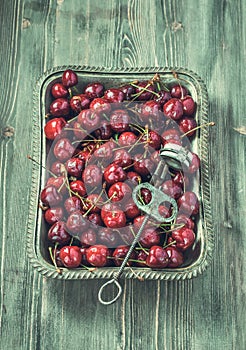 Tray of cherries with stone remover