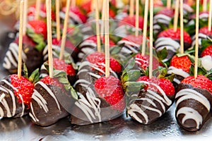 A tray of chocolate covered strawberries with wooden skewers photo