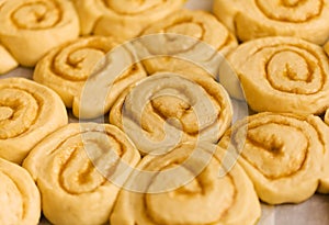 tray of cinnamon rolls ready to go into the oven