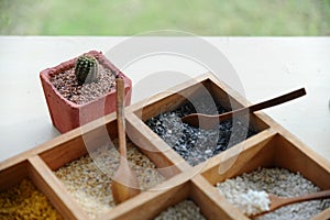 Tray of colorful grit for plant pot with cactus pot