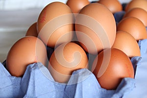 A Tray of Eggs