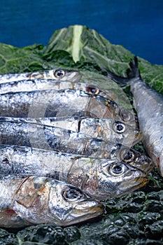 A tray of fish with parsley on top