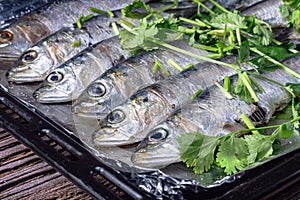 A tray of fish with parsley on top, close up.