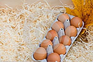 Tray of fresh chicken eggs in a wooden box against a background of autumn foliage. Close-up