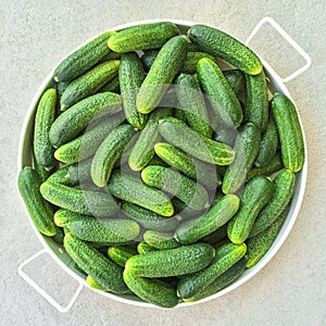 Tray with fresh green cucumbers