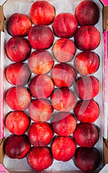 A tray of fresh nectarines