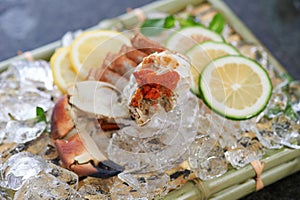 Tray of fresh seafood