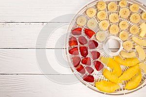 Tray of Fruit Being Prepared to Dehydrate on a Wooden Table