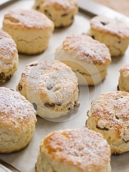 Tray of Fruit Scones