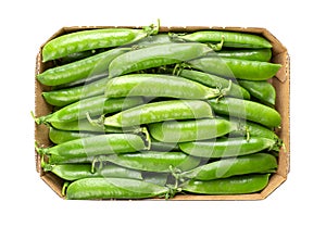 Cardboard punnet with fresh pea pods, containing green peas